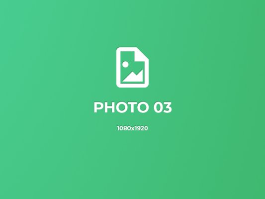 Pellentesque accumsan tortor id